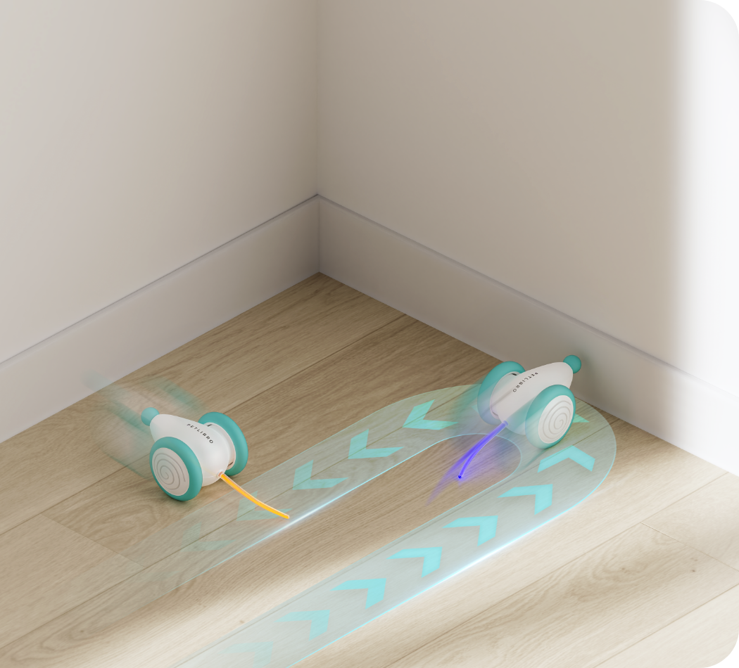 Het Ultieme Kauwbestendige Kattenspeelgoed - WhiskerPlay