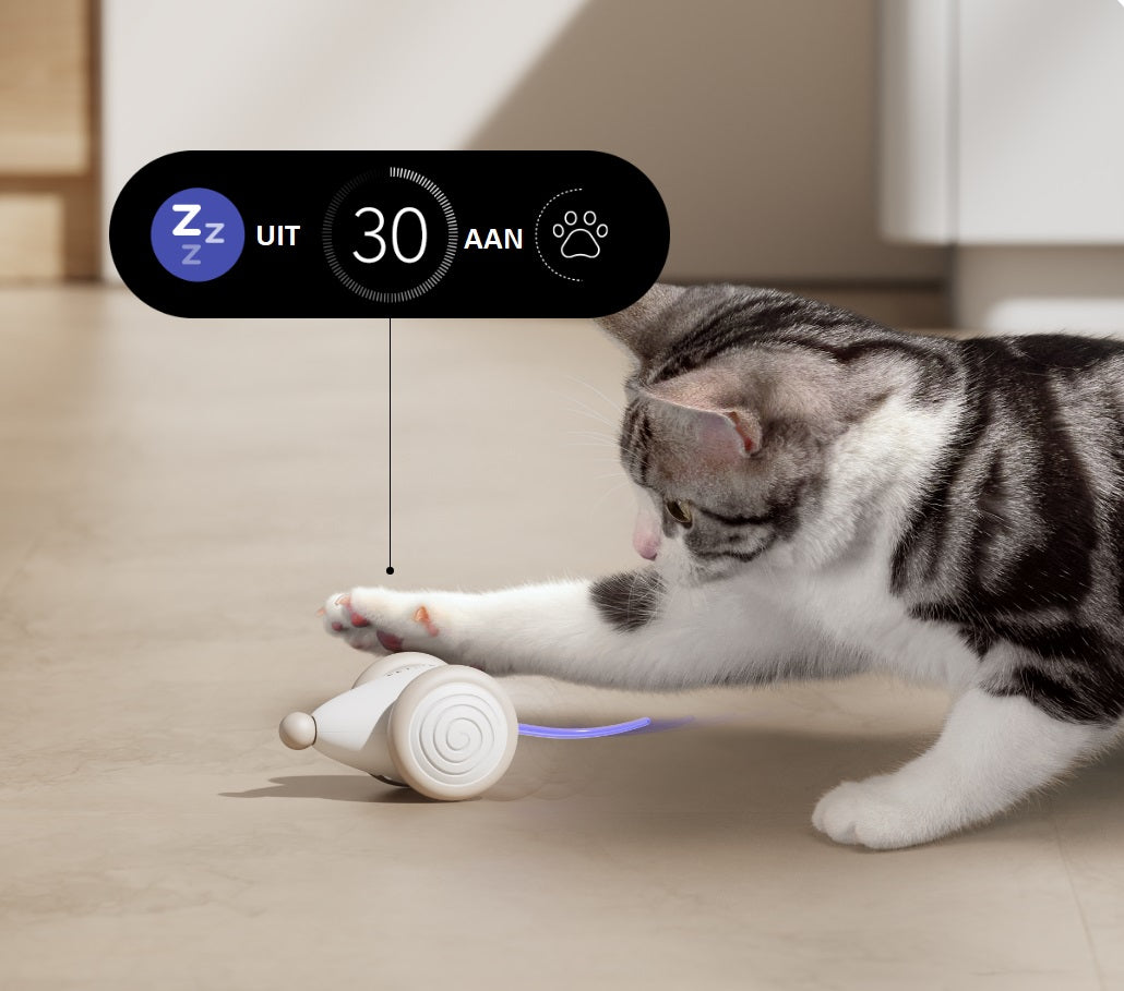 Het Ultieme Kauwbestendige Kattenspeelgoed - WhiskerPlay