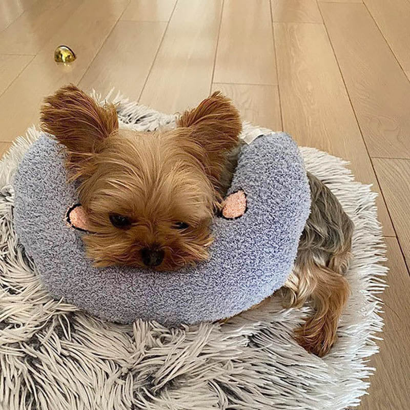 Comfortabel Kussen voor Honden - CalmNest