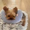 Comfortabel Kussen voor Honden - CalmNest