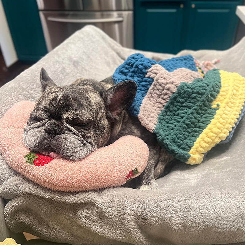 Comfortabel Kussen voor Honden - CalmNest