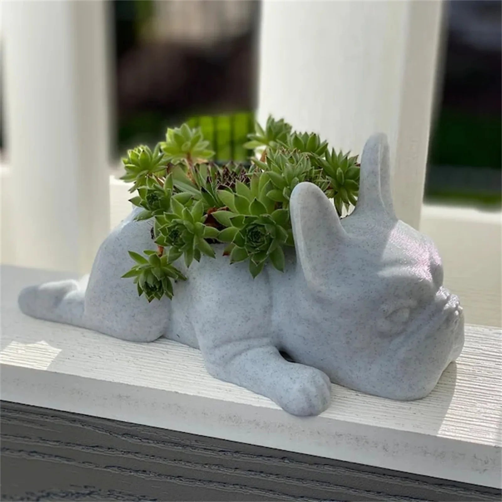 Honden Hars Vetplant Planter - Buddy