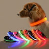 Hondenhalsband met LED Verlichting - GlowCollar