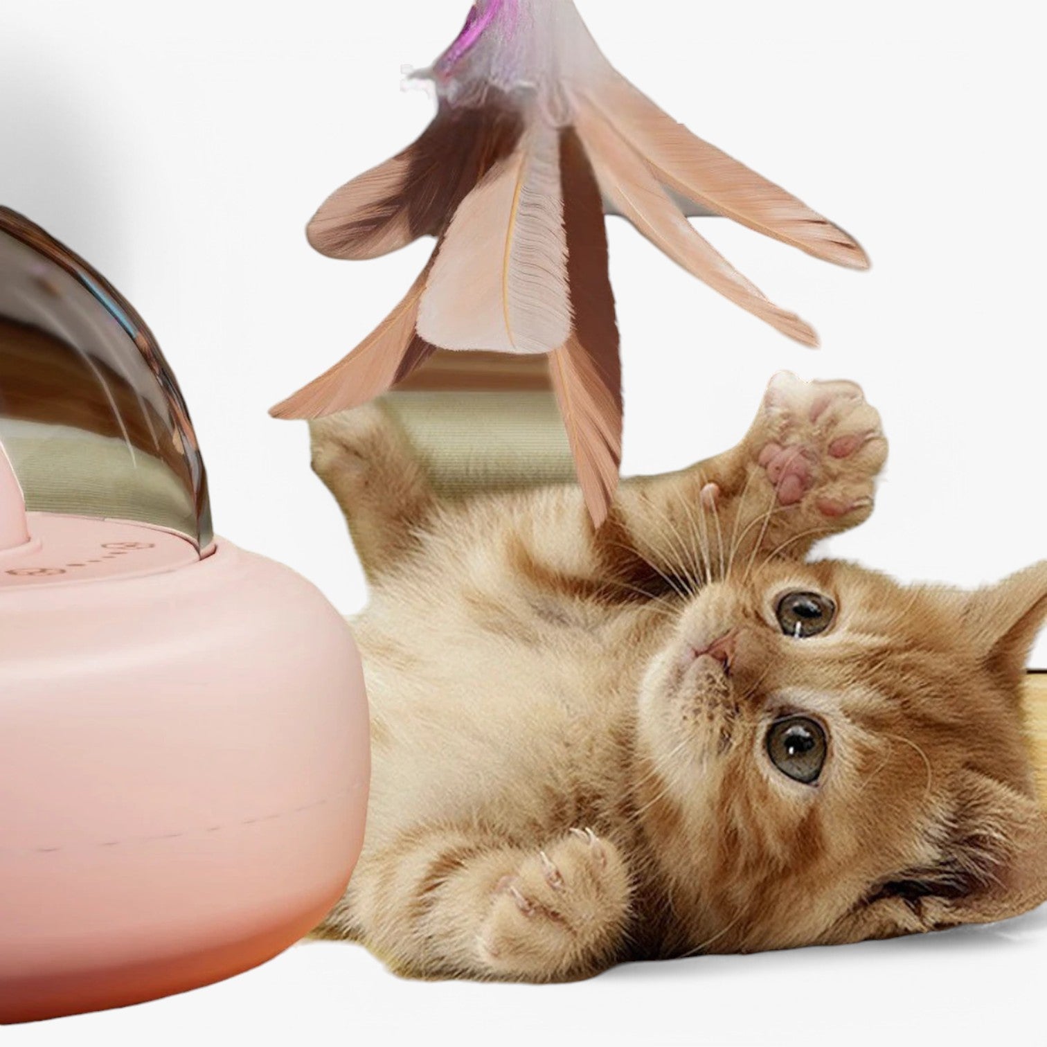 Slim Laser Kattenspeelgoed met Regenbooglicht – Nola