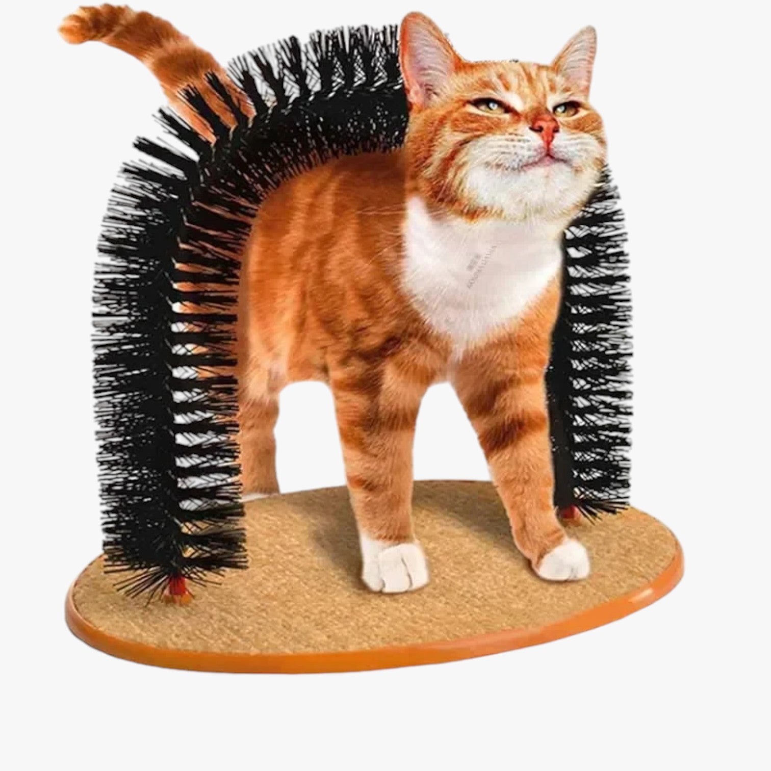 Self-Care Krab- en Massageboog voor Katten – Mira