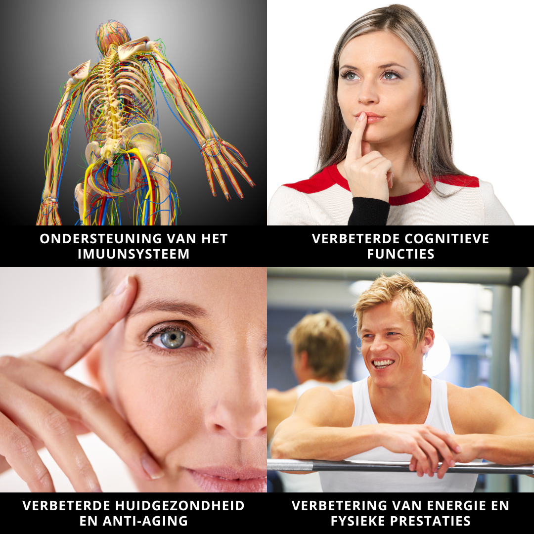 Innovatieve Waterstofwaterfles - HydroPro Generator