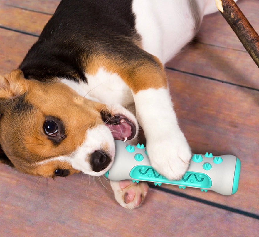 Gebitsreinigend Kauwspeeltje voor Honden – Chewly