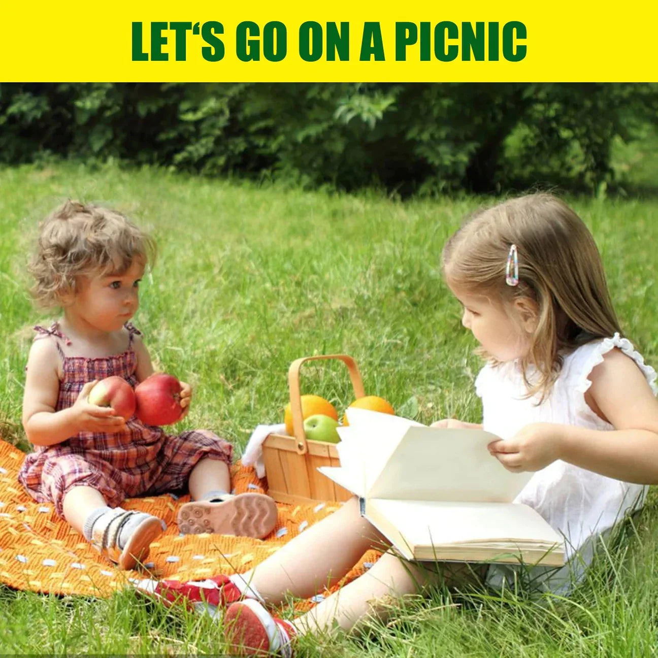 Biologisch Afbreekbare Graszaadmat - Verdi