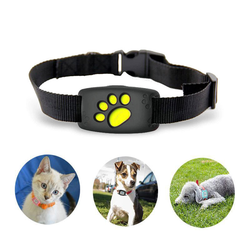 Slimme GPS-Halsband voor Katten en Kleine Honden – PawTrack
