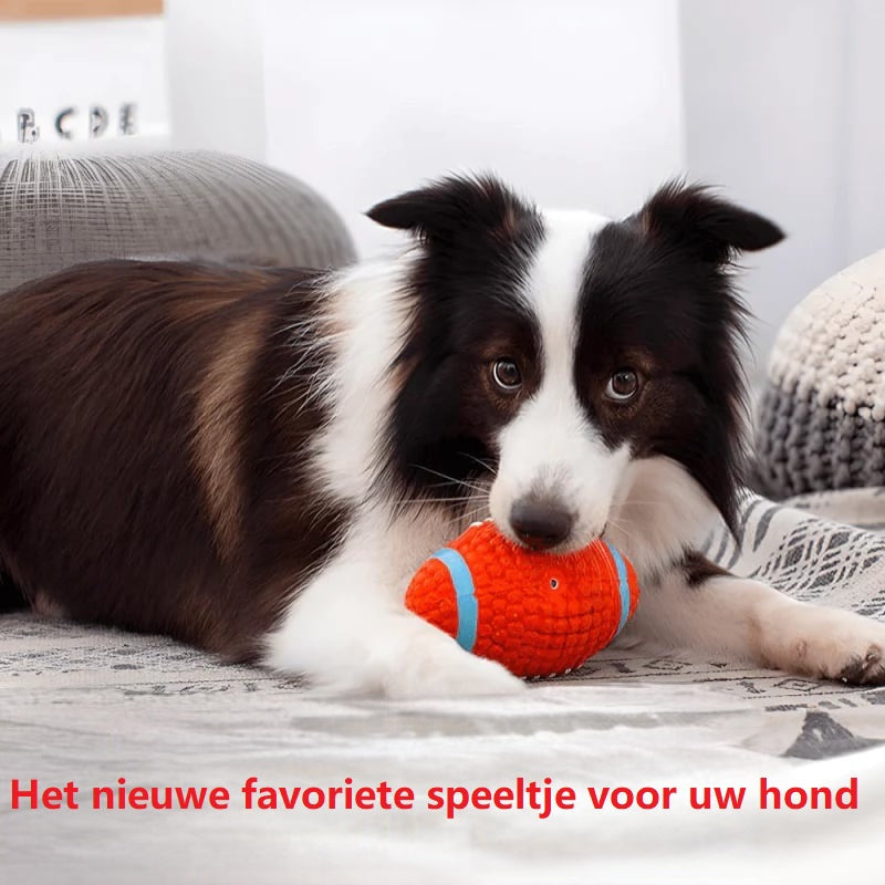 Het Onverwoestbare Speelmaatje voor Honden - KryptoChew