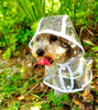 Transparante Waterdichte Regenjas voor Honden - DryPaw