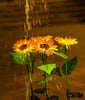 Waterdichte Zonne-energie Zonnebloem Lamp - SolarBloom