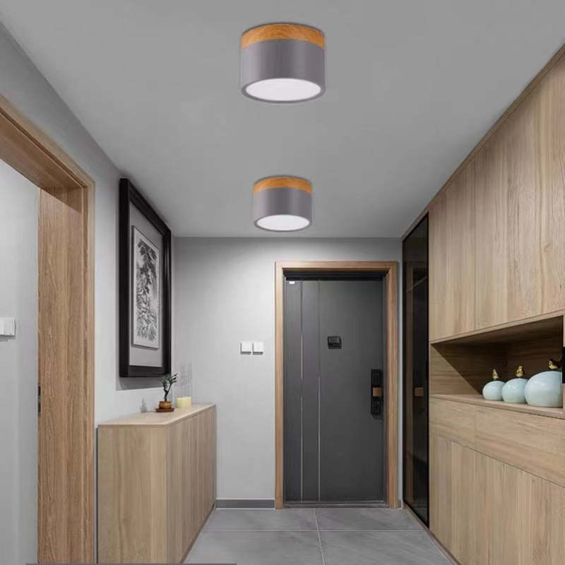 Morandi Stijl Moderne LED Plafondlamp - LumiModo