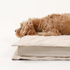 Kalmerend Hondenbed - CozyCalm Deep Sleep