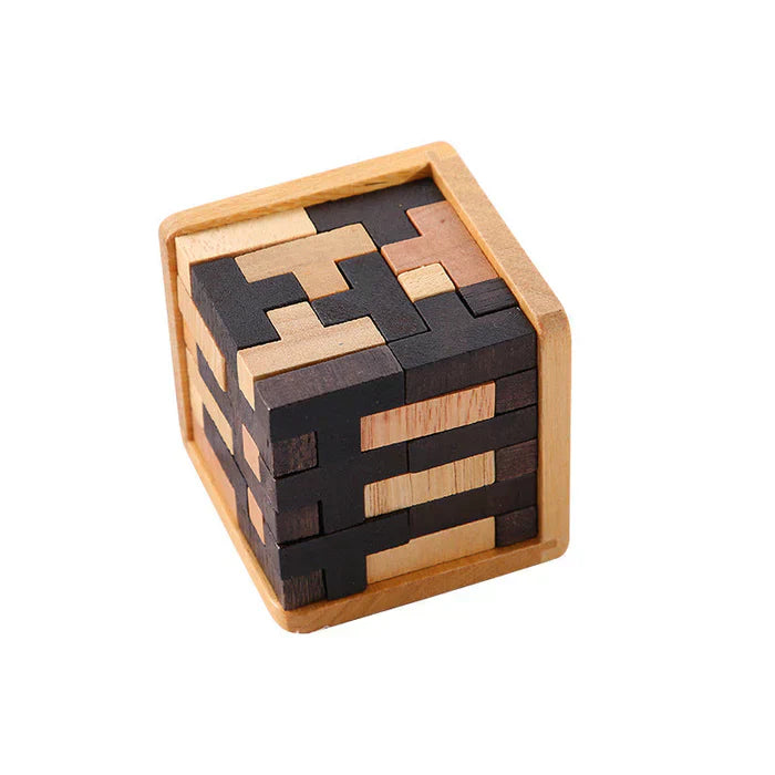 3D Houten Breinbreker - PuzzleMaster