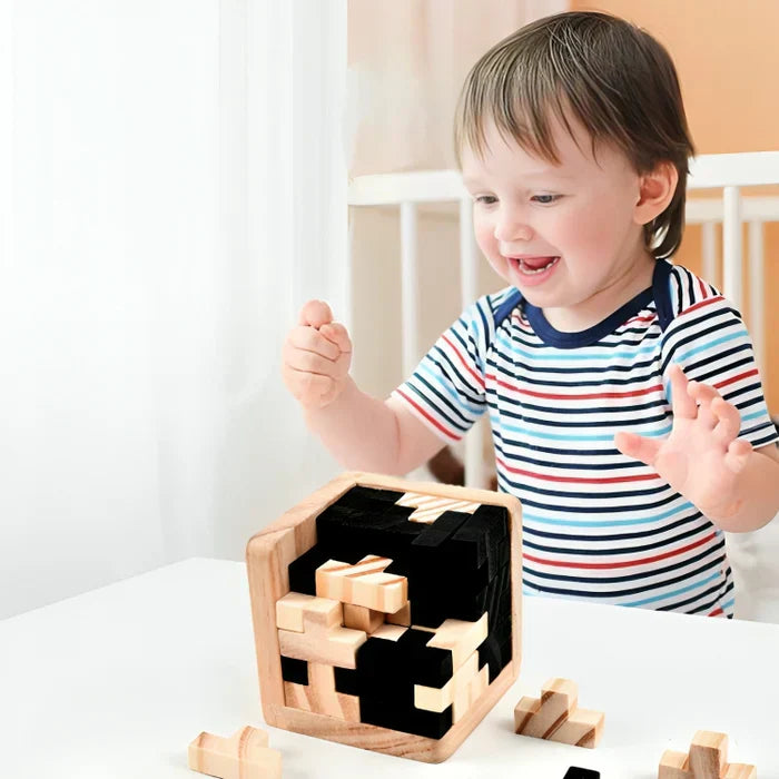 3D Houten Breinbreker - PuzzleMaster