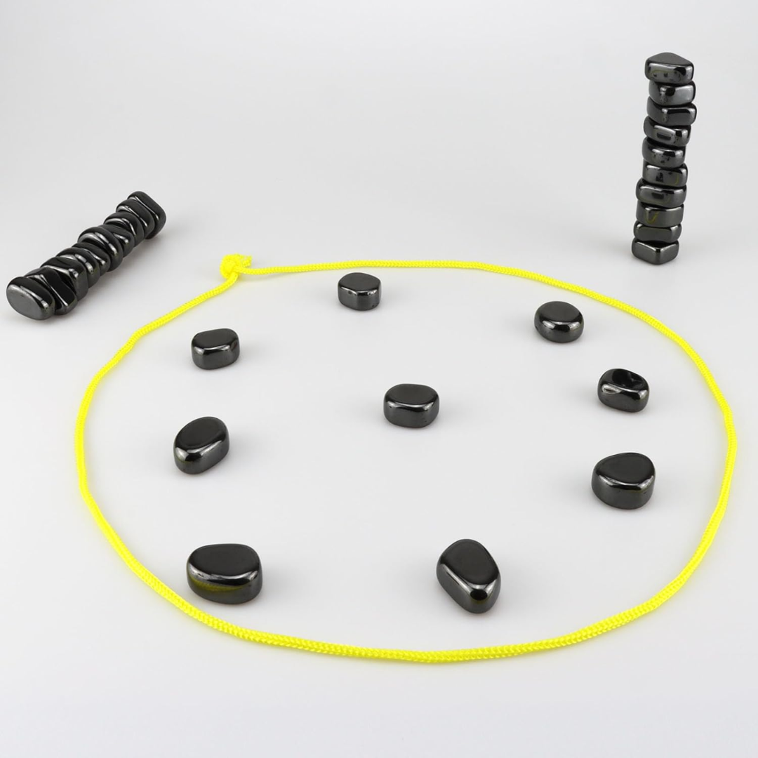 Magnetische Reis Schaakset voor Slim Vermaak - CheckMate