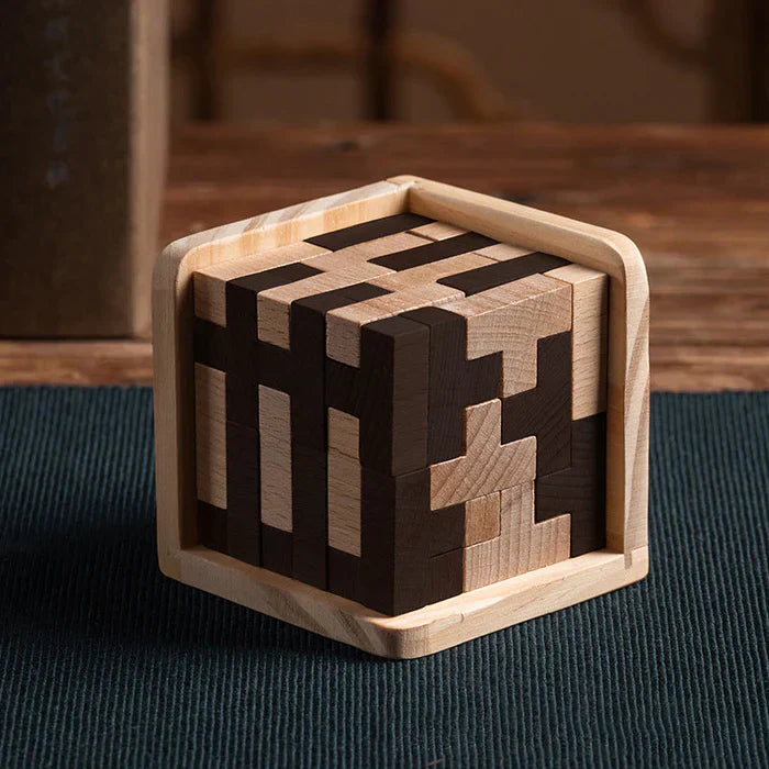 3D Houten Breinbreker - PuzzleMaster