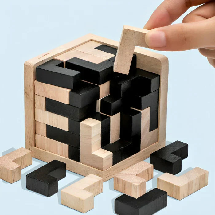 3D Houten Breinbreker - PuzzleMaster