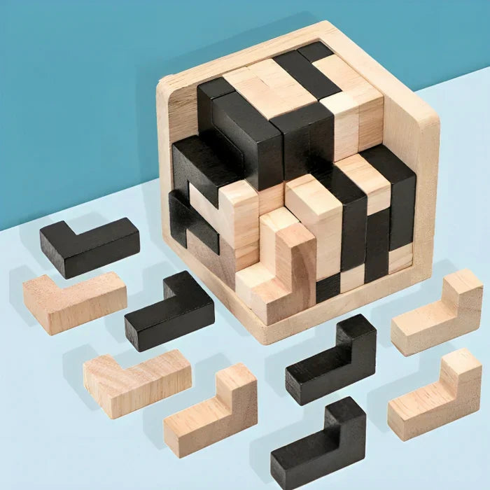 3D Houten Breinbreker - PuzzleMaster