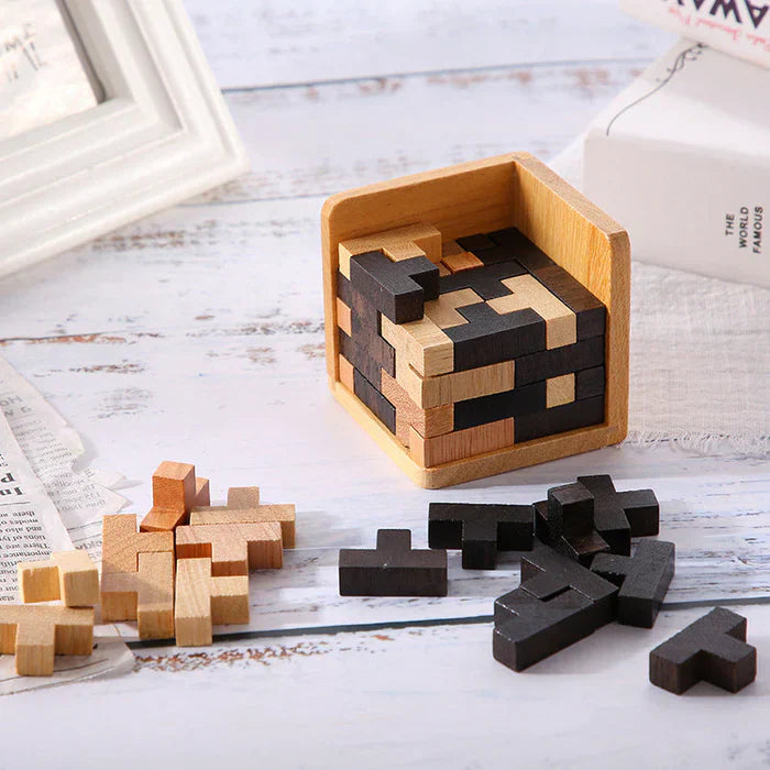 3D Houten Breinbreker - PuzzleMaster