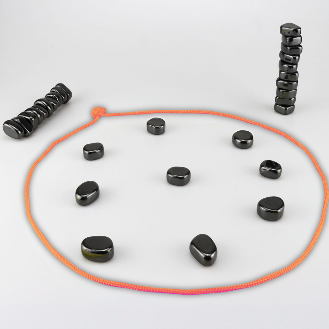 Magnetische Reis Schaakset voor Slim Vermaak - CheckMate