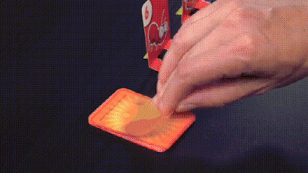 Actief Kikkerspel voor Jong en Oud - FrogFlip