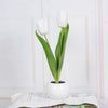 Decoratieve LED Tulp Tafellamp – Florima
