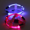 Hondentuigje met LED - Glow&Go