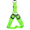 Hondentuigje met LED - Glow&Go