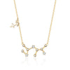 Sterrenbeeld Astrologie Ketting - Celestia