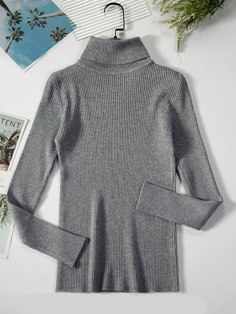 ClassSweater™: Sweater Voor Dames